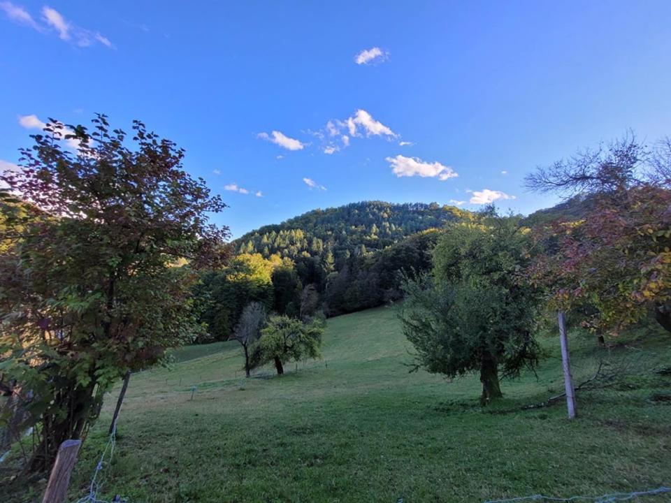 Villa Turisticna Kmetija Kunstek Rogatec Exterior foto